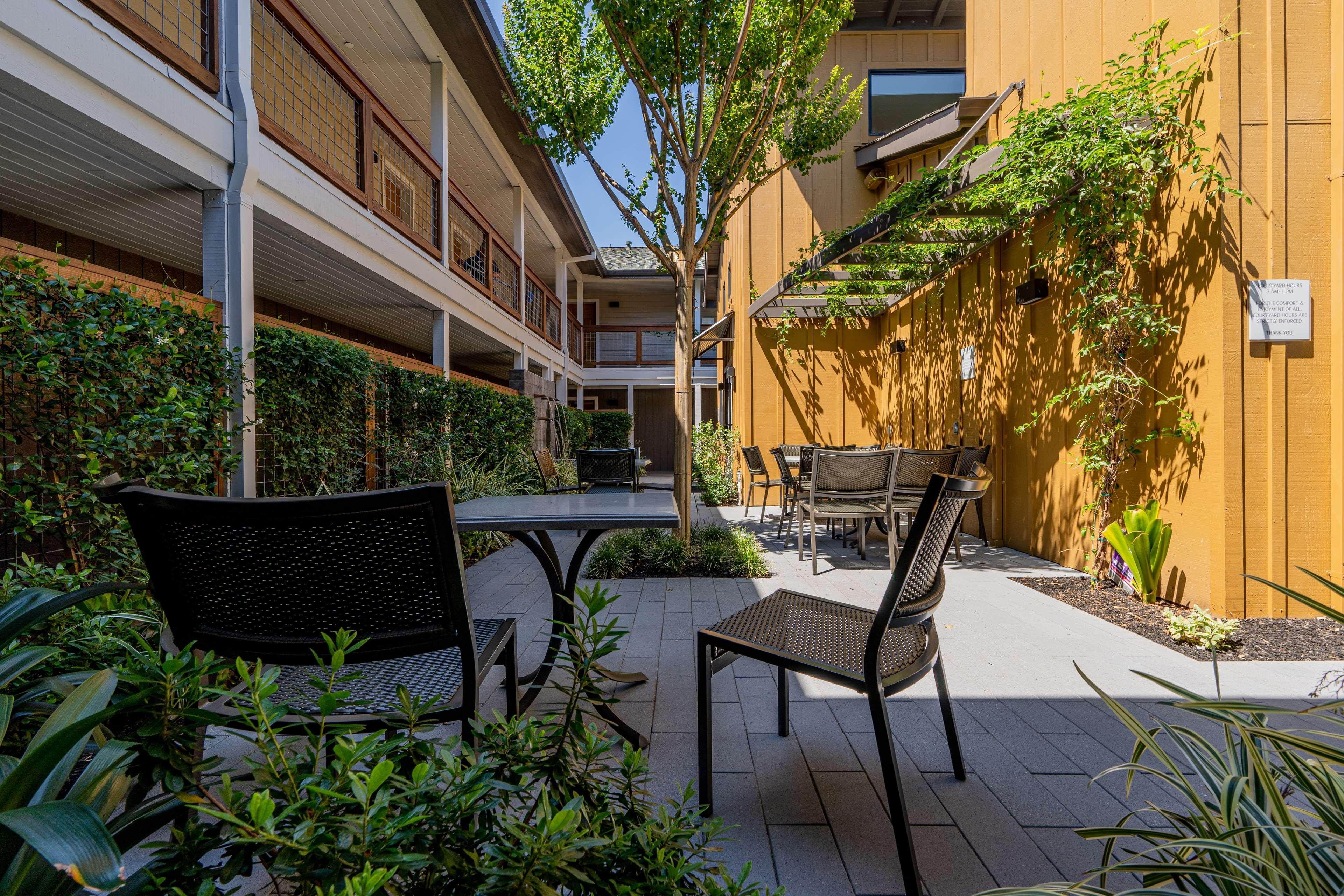 Best Western Plus Stevenson Manor Calistoga Exteriör bild